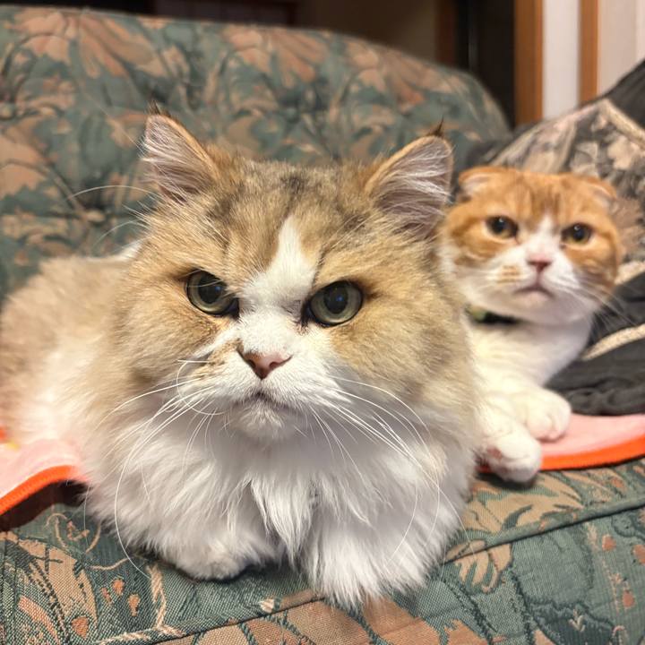 D7639d43 0350 4537 b435 21d1c3fcc455 1761048625073