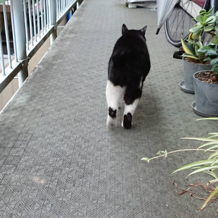 D763cc3d 96ee 4c89 81aa 7adf9b677e3c 1668212827898