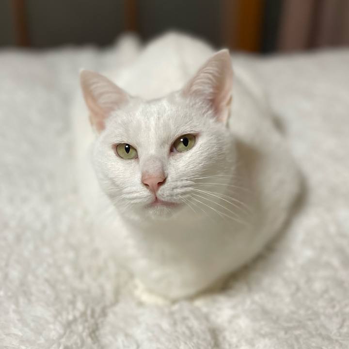 D763ff34 e8a5 49e6 af98 6dcc55d352a5 1764059371963