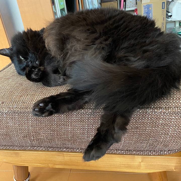 D76408b4 5a7f 42bb 8ad9 744b154e8a4f 1615375468431