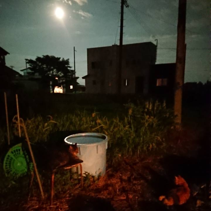 D764269c 04e0 45ba b76c ead82eca0c3d 1660217942740