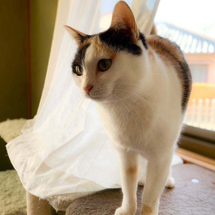 D7643cfc 597a 494d 82b9 2e73534232d1 1579746228125