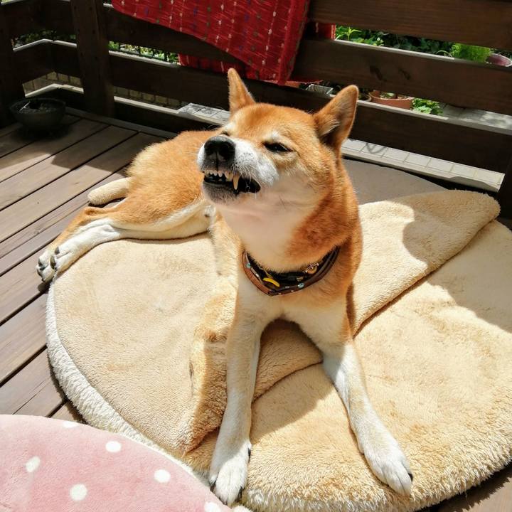 D7644299 892f 4aac a71a 17ccf795413b 1625890905616