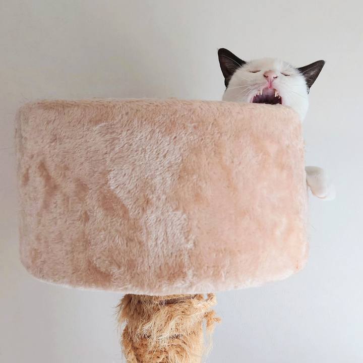 D7646e82 8e35 4ced ac8d 1268c4e93635 1632965719984