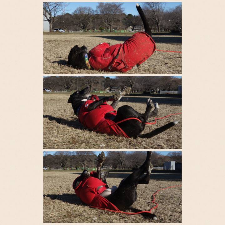 D7647c34 1f8d 4b51 8ea0 95c6587edd65 1677030833659