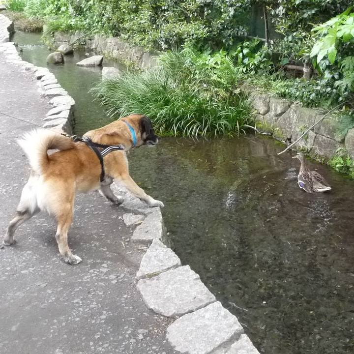 D764a4be c534 4126 ada7 c55edfcc0649 1578091276696