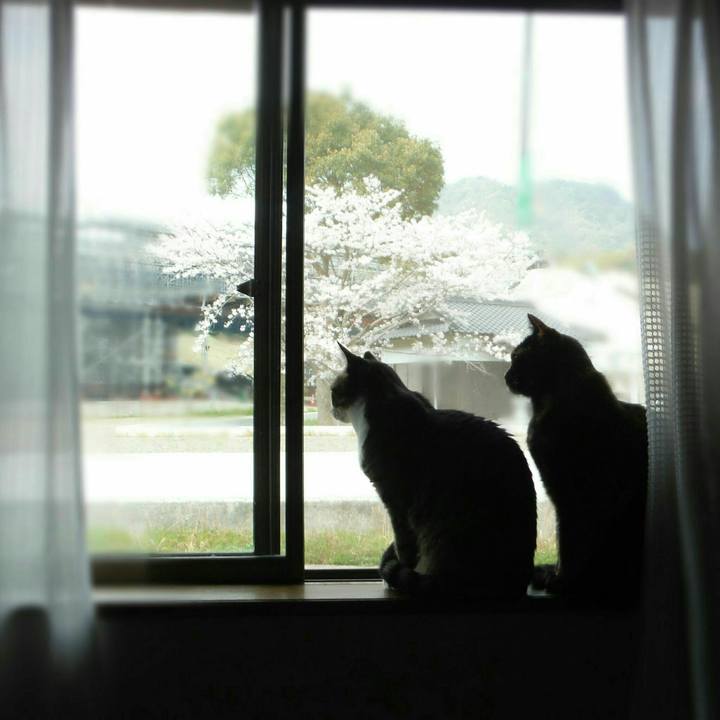 D764a81a 5c8e 474a 811f 45444c2c9b8a 1522906087783