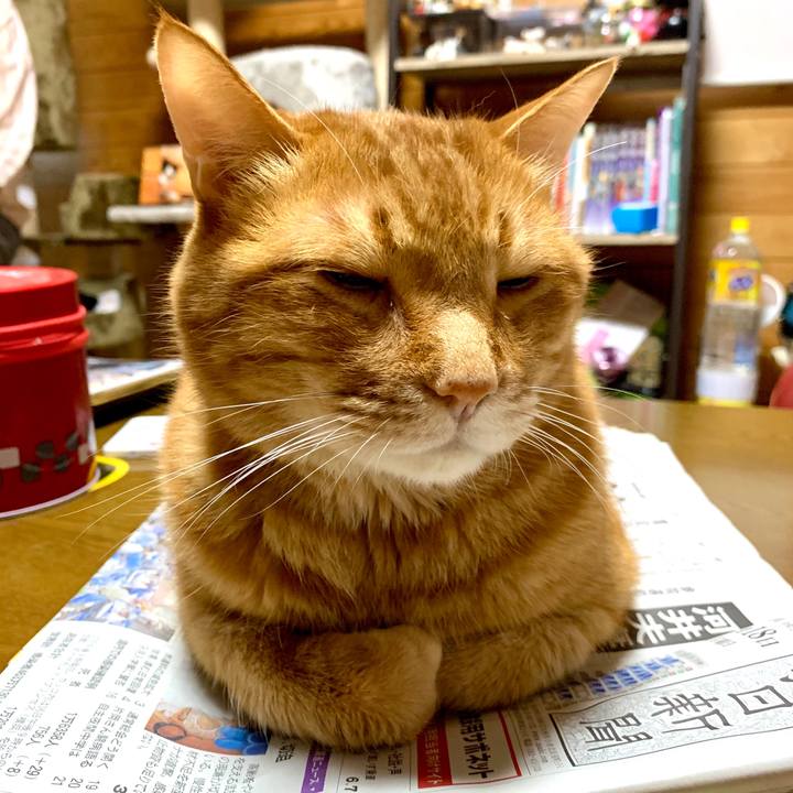 D76507ce dca8 489c 88da 4b6555330dc6 1589756972503