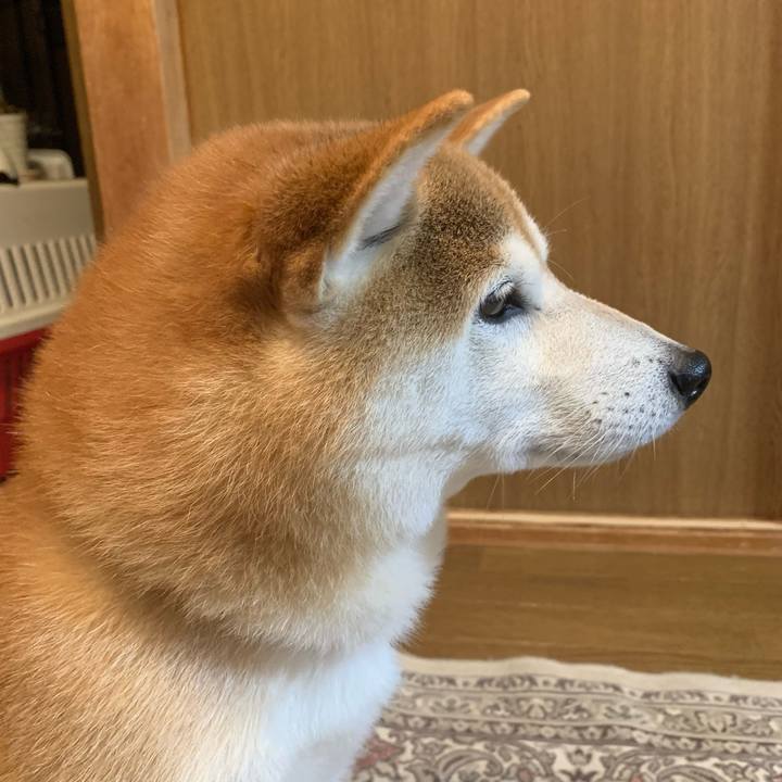 D76527f3 07af 4066 a1fe bb40408eb709 1668430255484