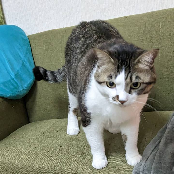 D7652fbb a4ee 4a28 b4e1 032c8d92e6f8 1676454638863