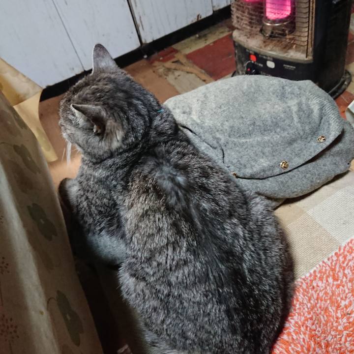 D765366f 2c21 40c6 9160 76656ebae6b6 1577443530819