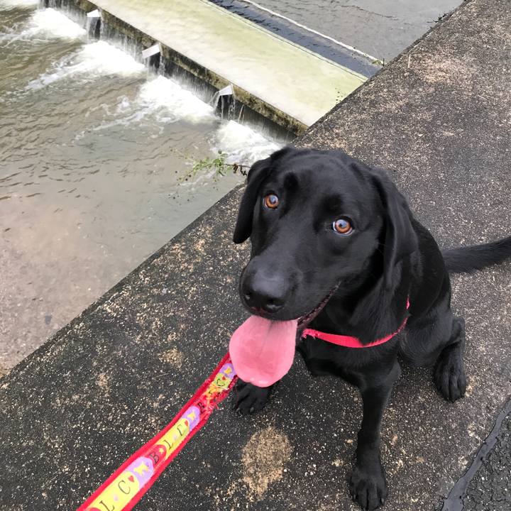 D7656336 c6a4 4215 bb00 0aa59b74b894 1509175898381