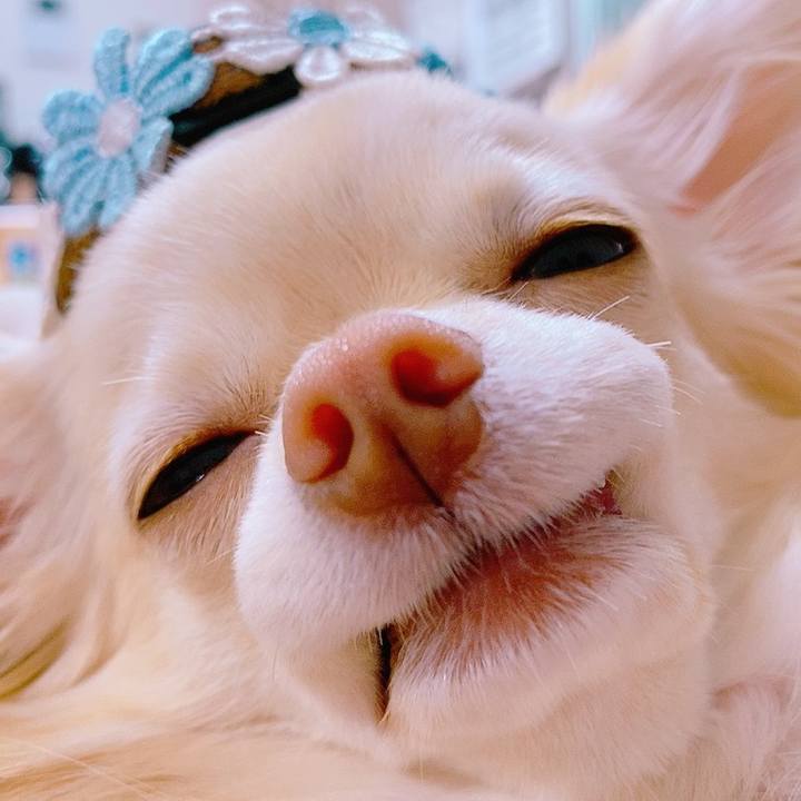 D765895e 7681 4396 ada4 81feae5151b0 1620988618979