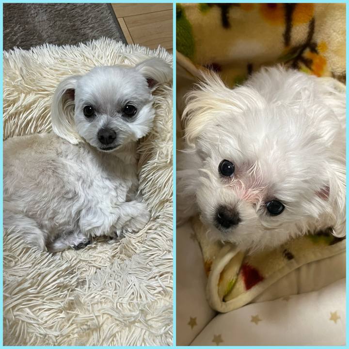 D765cc86 21f5 46d6 8711 c6bb8b5af852 1704360004592