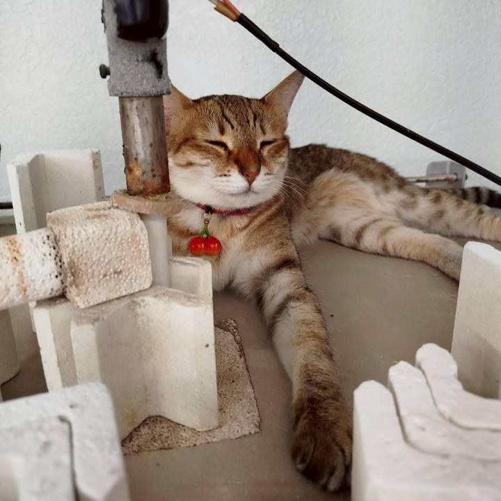 D765ce8c 6386 4e75 8749 38e4c561c148 1759464459579