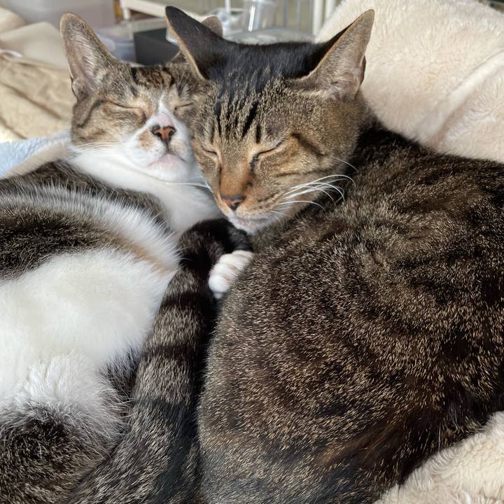 D765d9d2 6327 4932 a0ee 6bb3328c4c45 1609466109241