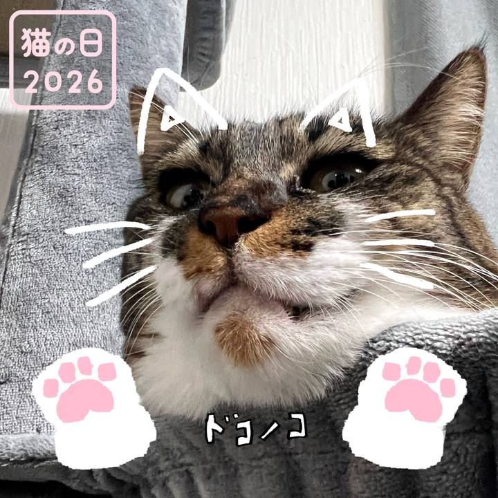 D765e8e1 1acd 4625 9975 90c2b7c7b30c 1771767352382