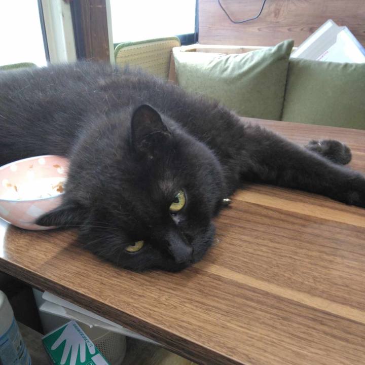 D76617ec d56e 4a8d 886f d39a6faa3e7b 1723174708816