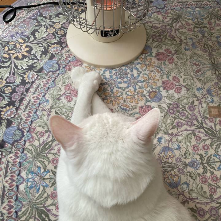 D7661dcc 314d 41c7 a501 84ca36a575c9 1762215444157