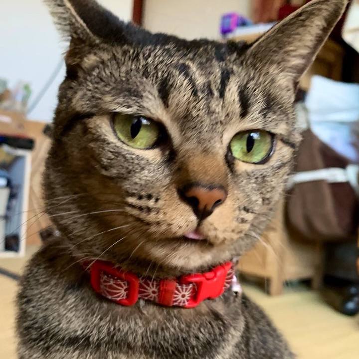 D76641c5 5d21 490f 91ff f19ff5845788 1570618787983