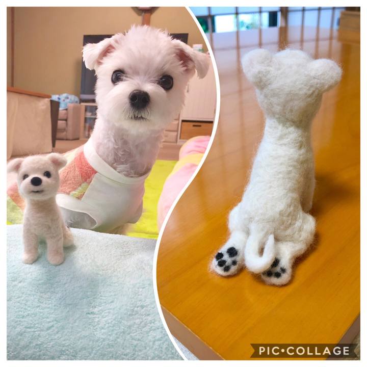 D76676f3 407f 41ae ba61 6552608b466c 1566544818592