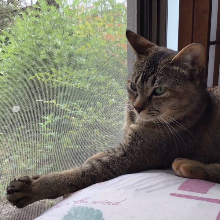 D766b877 ee93 4862 840a e2bf8c7f095c 1588482487302