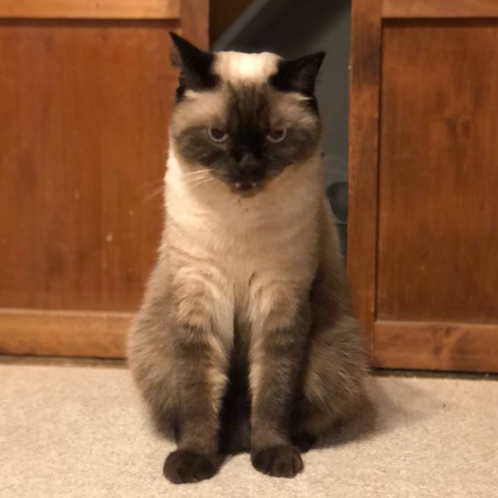 D766e09f ea5a 4c4a 9fb1 da8f65f70427 1629935972971