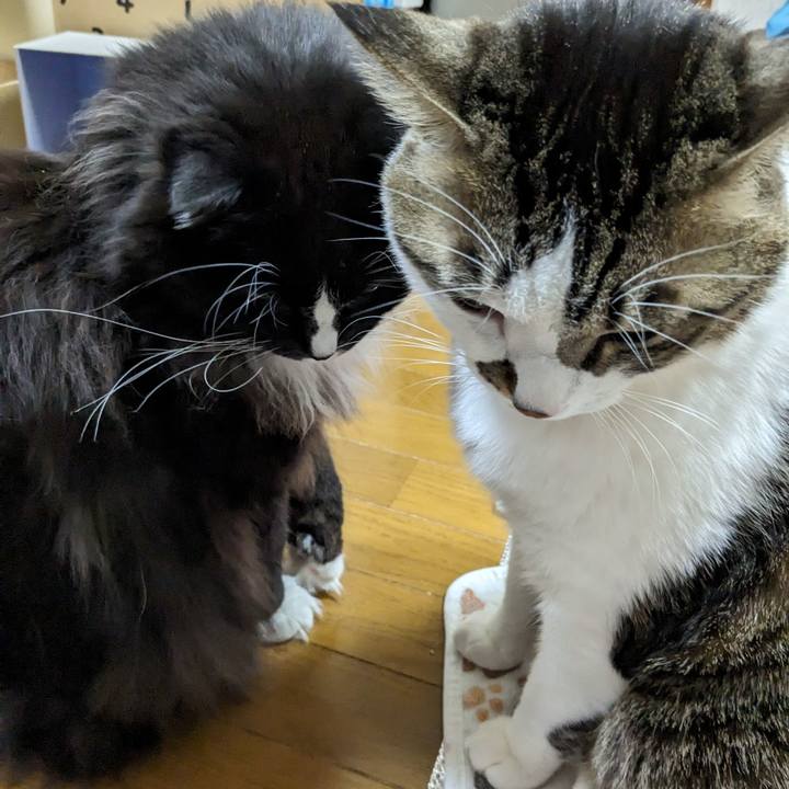 D76738eb d4ee 4a34 9427 87f4a06ee8ec 1706349831009