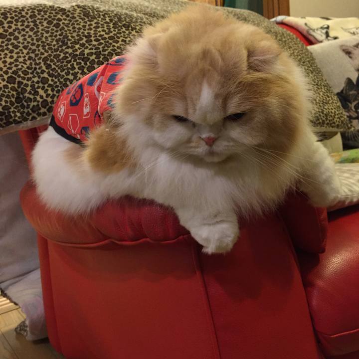 D76741bf 8b37 4934 8106 41162e48c63b 1514885904741