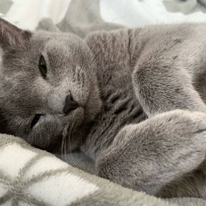 D76744e7 2459 4d58 8b00 4a3be07d8845 1585360572888