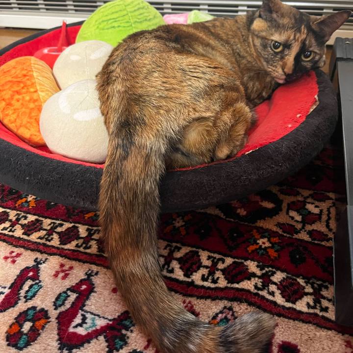 D76749bb 50ee 4930 8722 8215b41acff1 1764021528958