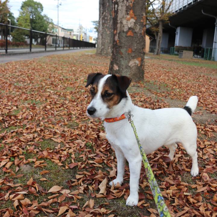 D7678da6 20bf 41f3 bee9 b77080cf54f3 1542180537571