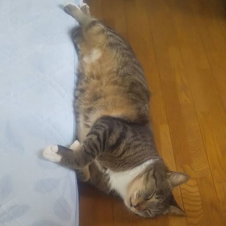 D7679c57 061a 4fa8 994d bea00a66b478 1688289614784