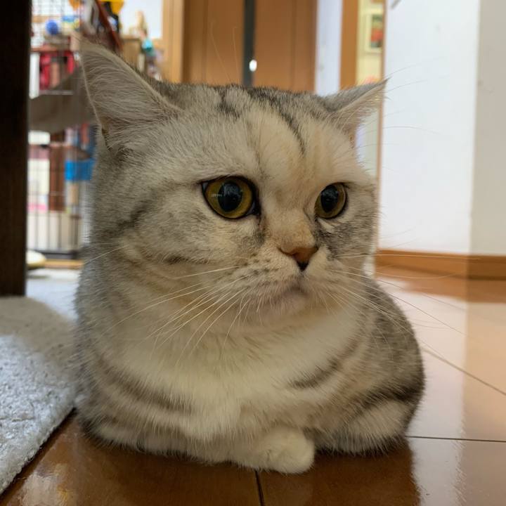 D767bda5 7bec 43e8 ad98 867002a088fb 1705222941916