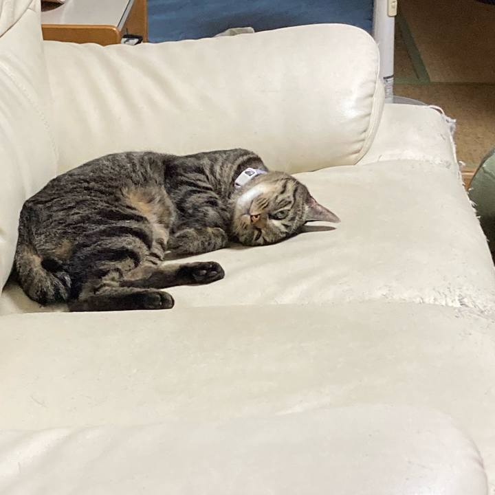 D767c476 32a3 4958 9e9a 304b14288845 1695525410025