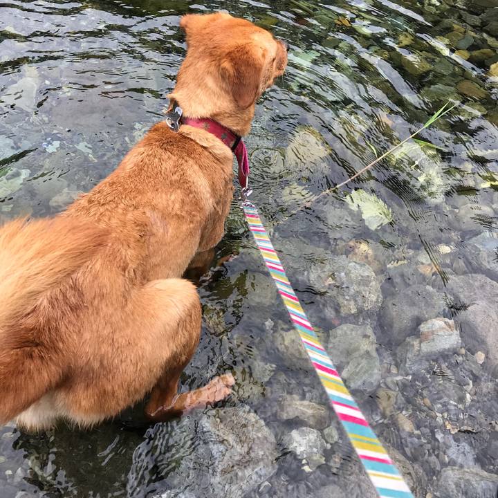 D767d1ac 622d 44ae b377 0221283b391d 1529241314752