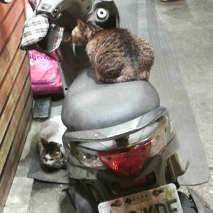 D767fcba ad37 4d3a 92bc 59db7d229748 1556895601959