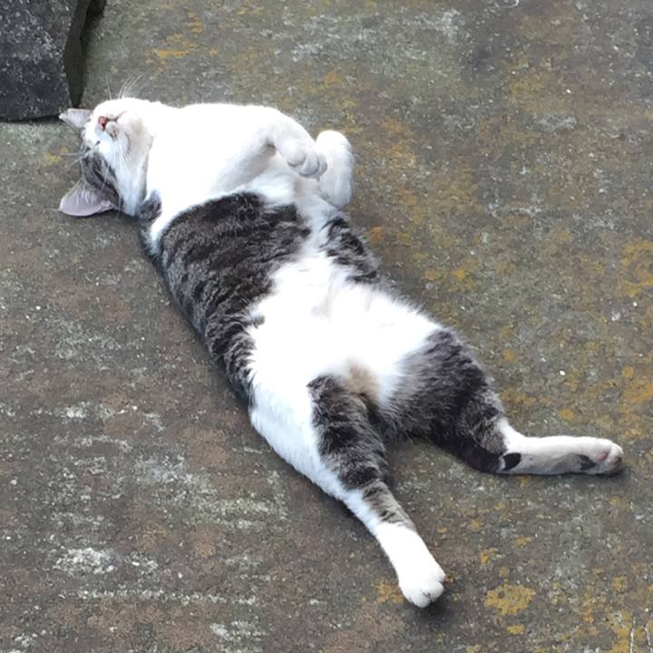 D76802ae 596b 46fb a994 4f6be8ba7a1b 1544437541110