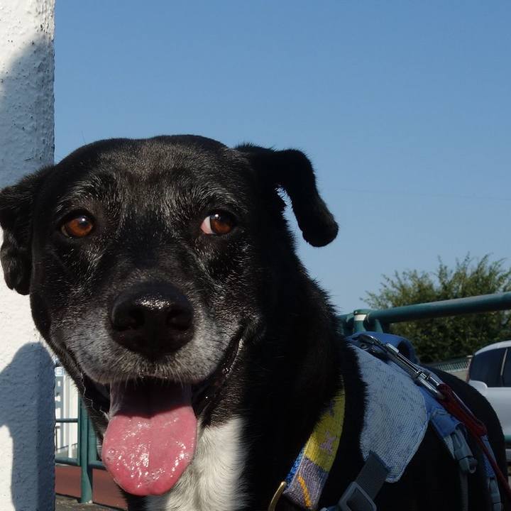 D76832f6 8148 4e38 9ae0 ebe1215c0941 1753402438076