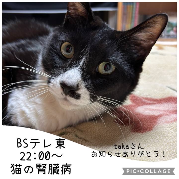 D7688e0f 2dca 4ff3 8e11 3558084068be 1771420136903