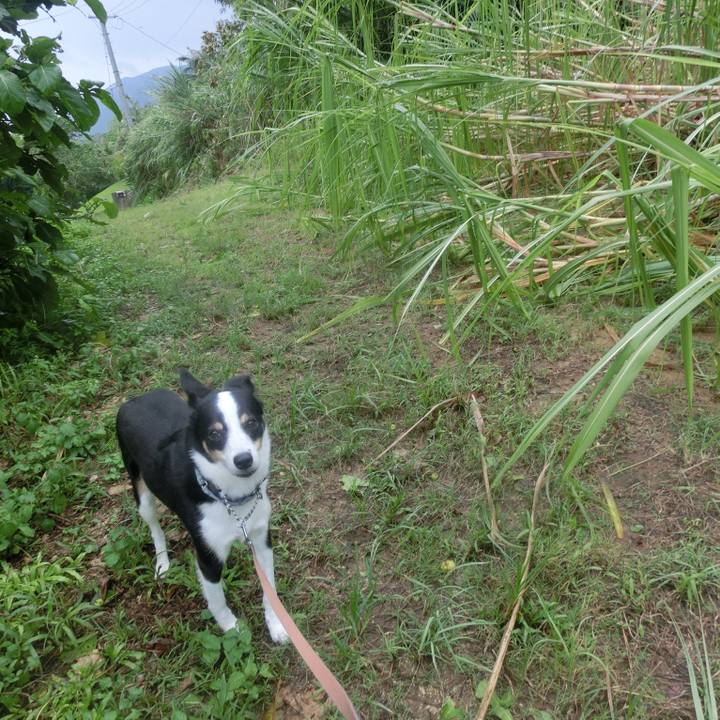 D7689df7 5387 4f92 be41 cbc1b911fbb1 1662358630827