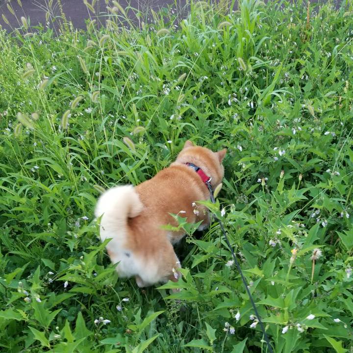 D768c738 211b 4ec3 b54d 7dbe24b39b4c 1723195650491