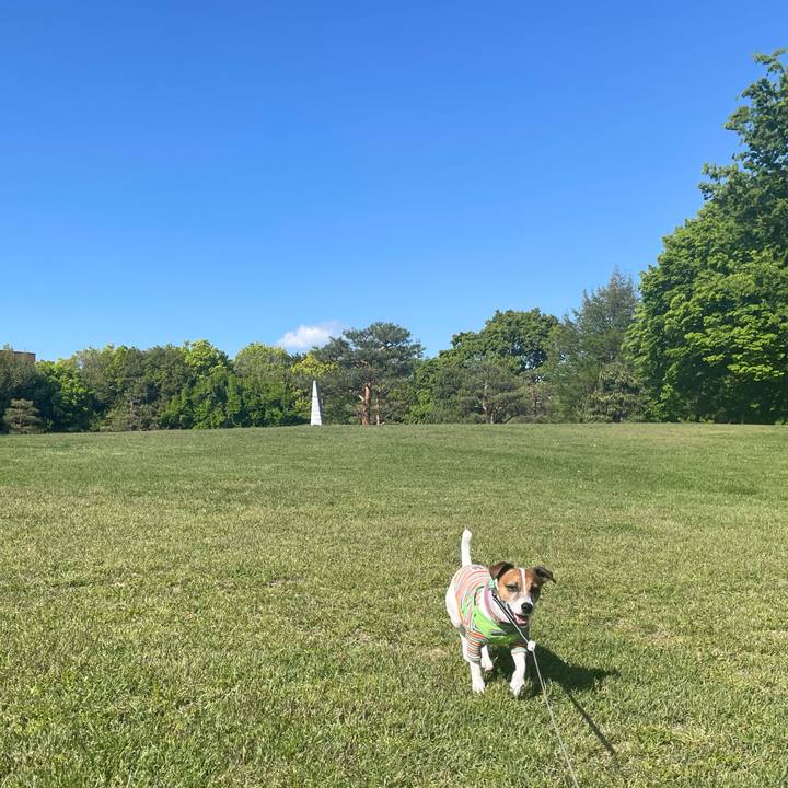 D768e476 066c 44b3 aa76 b6e153bc3942 1746608401217