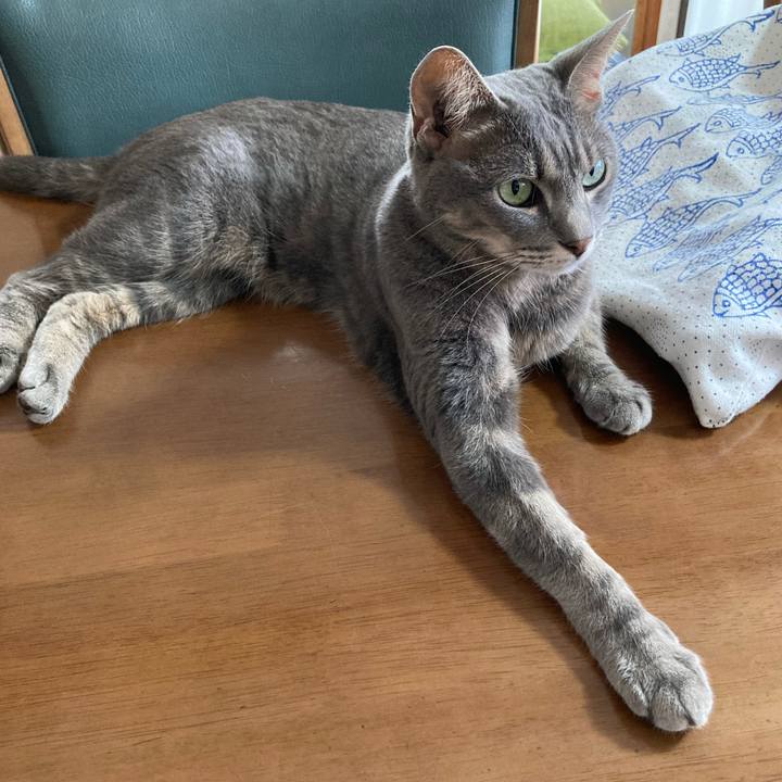 D7690c86 1886 4889 9996 b184fef6c38a 1692533495182