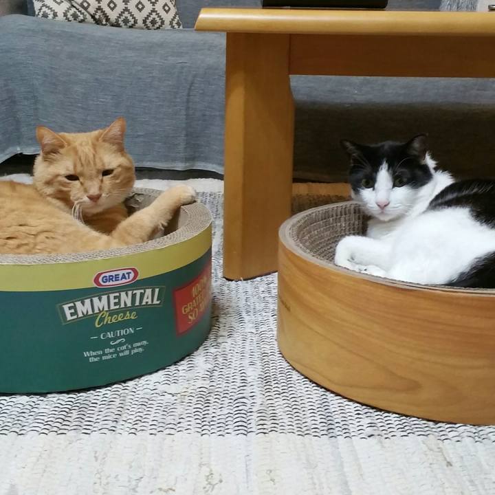 D7692489 46aa 44b0 865f 308cd772946b 1568897164182