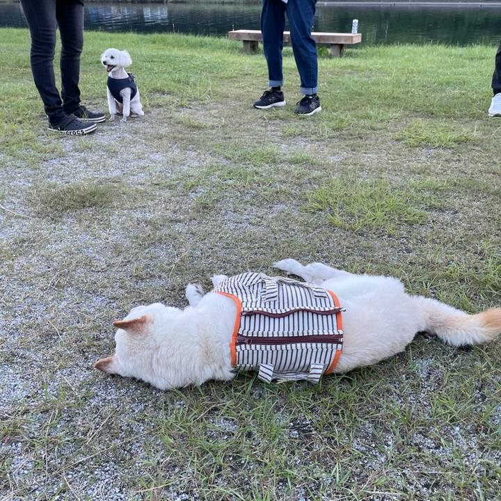 D7697212 c8ee 46bc 8b95 ba5ba08b6190 1659871147988