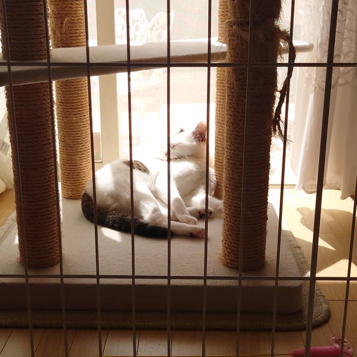 D7699bc6 1a6c 4e2b abe7 24d709a035ab 1692590720058