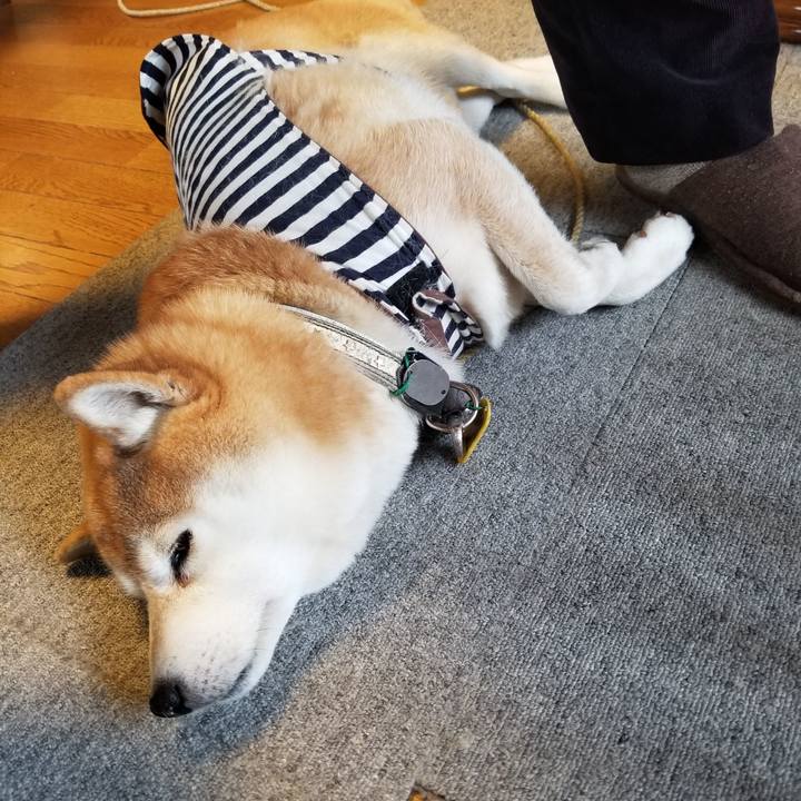 D769b247 f19d 45c2 b014 a401824b063e 1642376911953