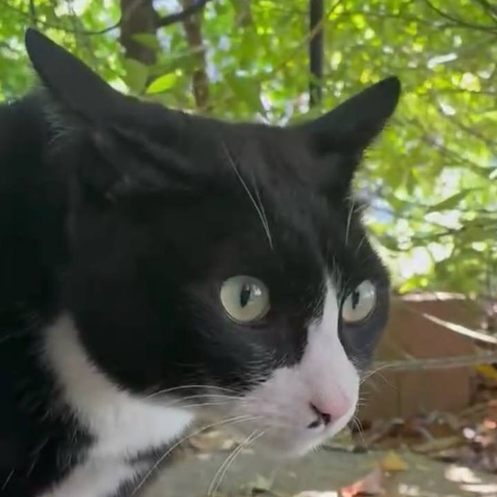 D769bbdb 9d17 41af 9369 d78029515e7a 1747102753113