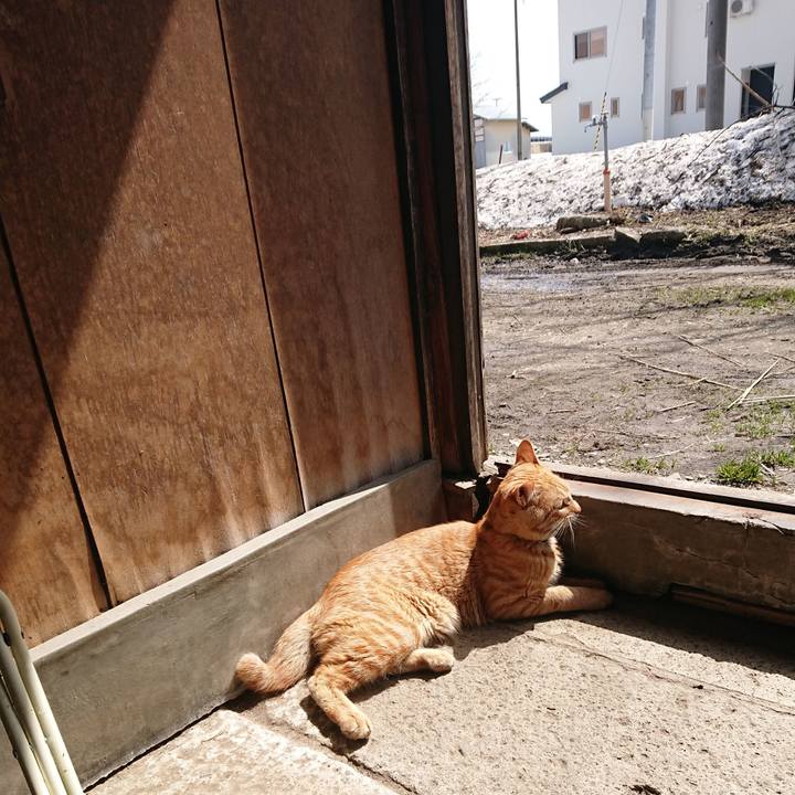 D76a01b0 d3c6 4863 a921 093b0ee5e7d6 1648609757076